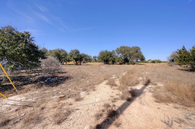 425 George Dolson, Blanco, TX 78606