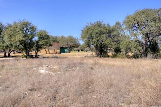 425 George Dolson, Blanco, TX 78606