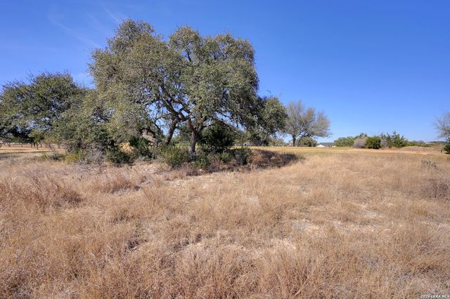 425 George Dolson, Blanco, TX 78606