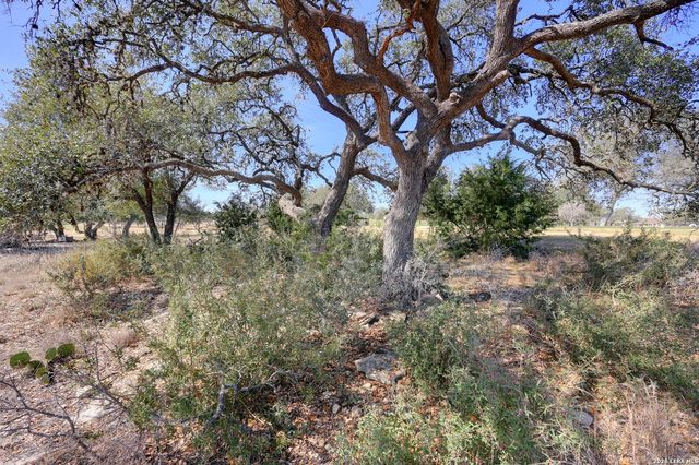 425 George Dolson, Blanco, TX 78606