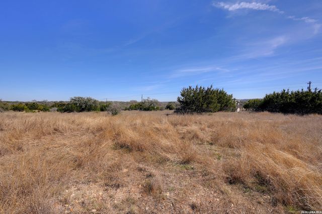 425 George Dolson, Blanco, TX 78606