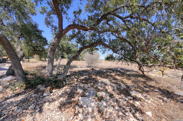 425 George Dolson, Blanco, TX 78606