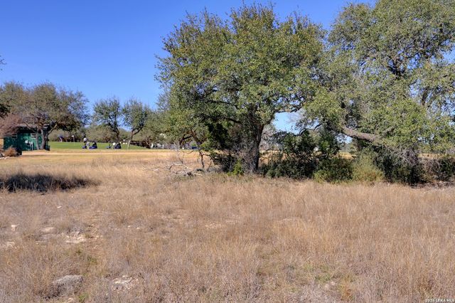 425 George Dolson, Blanco, TX 78606