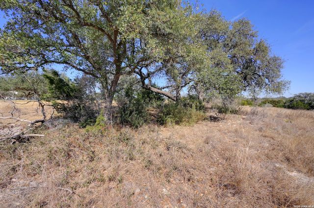 425 George Dolson, Blanco, TX 78606