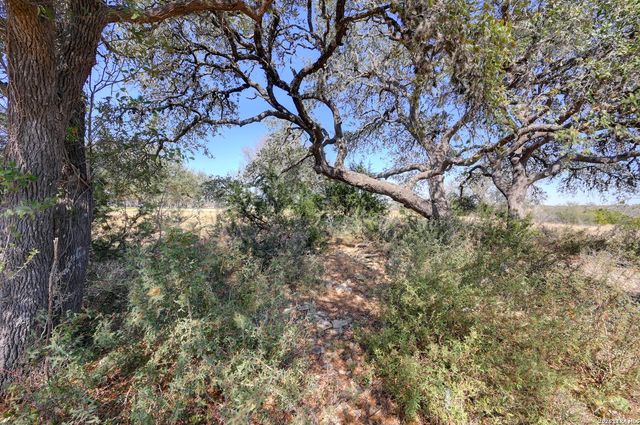 425 George Dolson, Blanco, TX 78606