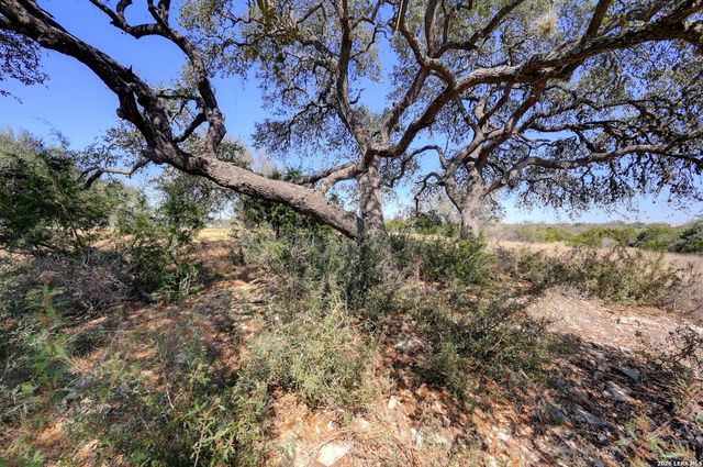 425 George Dolson, Blanco, TX 78606