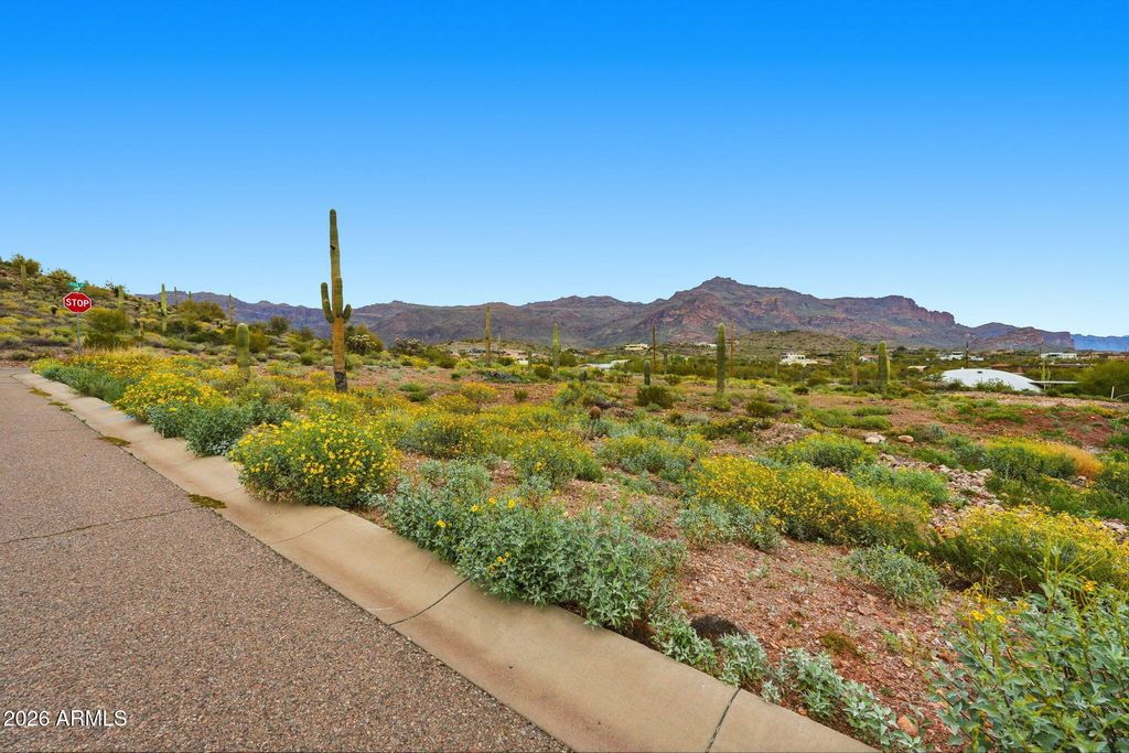 3811 S VISTA Loop 6, Gold Canyon, AZ 85118 — photo 4