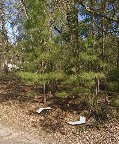 0 E Julia Belle Drive, Livingston, TX 77351