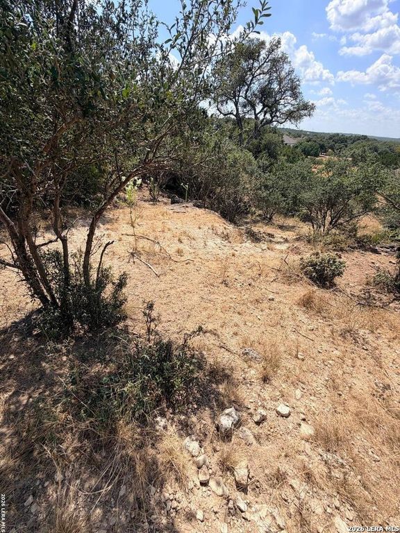 463 Lantana Mesa, Spring Branch, TX 78070
