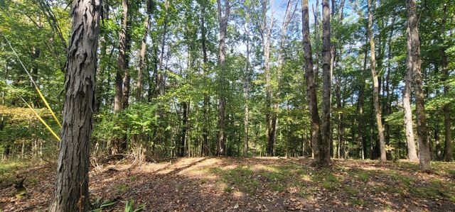 345 Hilltop Ln, Gainesboro, TN 38562