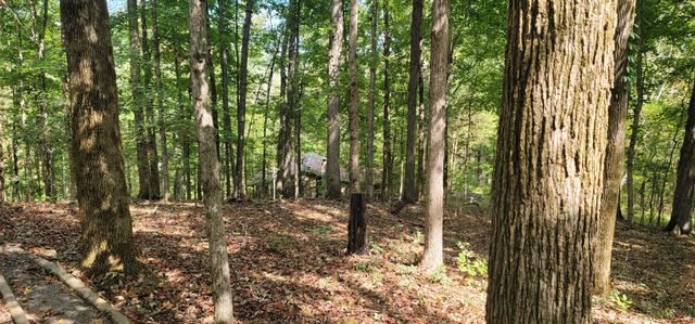 345 Hilltop Ln, Gainesboro, TN 38562