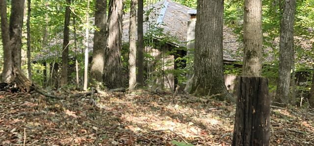 345 Hilltop Ln, Gainesboro, TN 38562