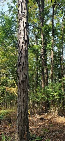 345 Hilltop Ln, Gainesboro, TN 38562