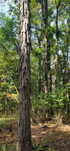 345 Hilltop Ln, Gainesboro, TN 38562