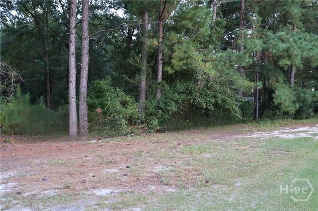 Lot 125 Orange Court, Sylvania, GA 30467