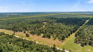 235 Flynt Road, Huntsville, TX 77320