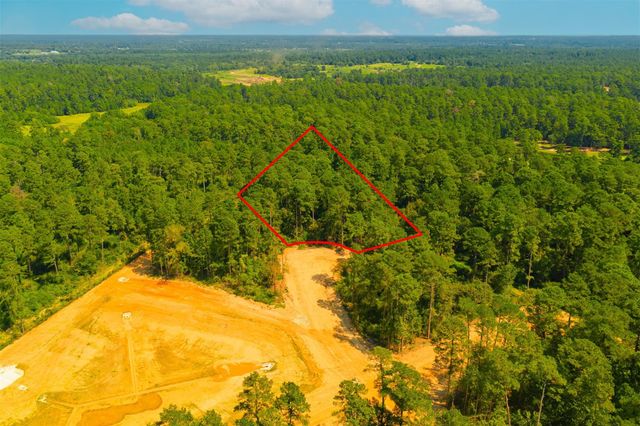 3903 Augusta Drive, Montgomery, TX 77316