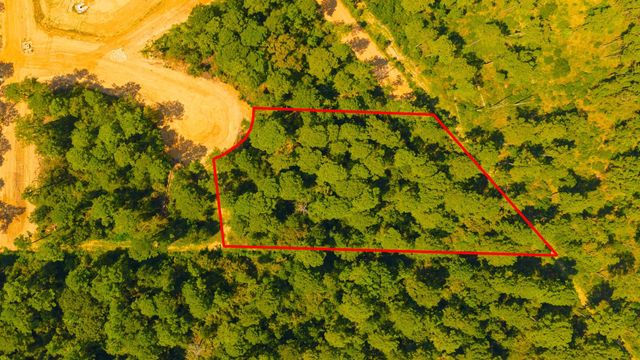 3903 Augusta Drive, Montgomery, TX 77316