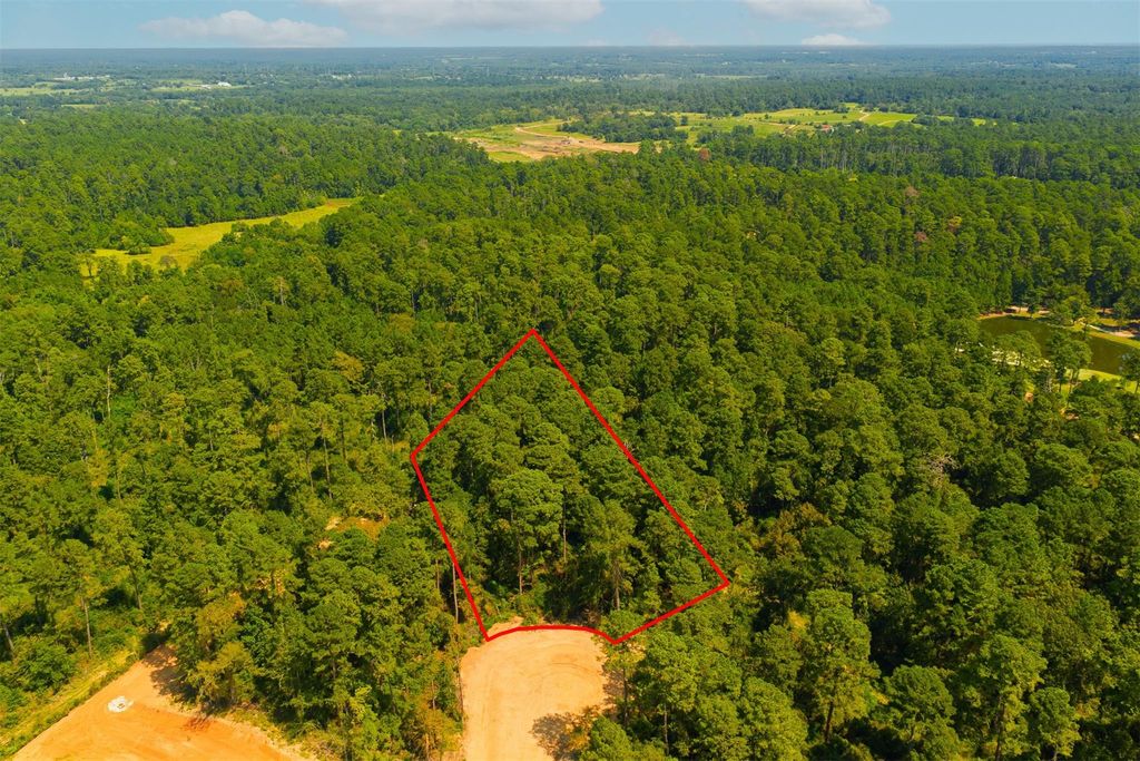 3903 Augusta Drive, Montgomery, TX 77316