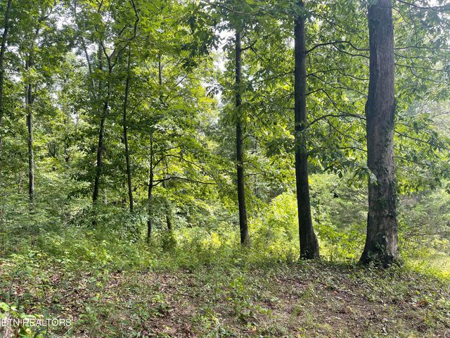 215 Coal Creek Lane, Rocky Top, TN 37769