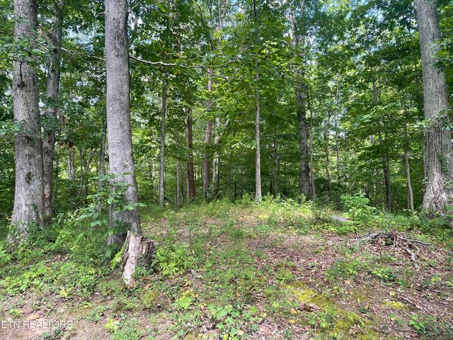 215 Coal Creek Lane, Rocky Top, TN 37769