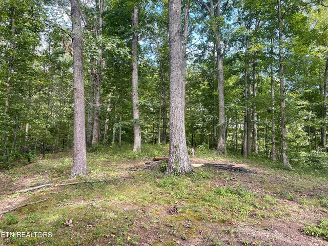 215 Coal Creek Lane, Rocky Top, TN 37769