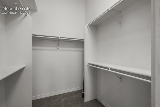 4320 Prestige Point, Colorado Springs, CO 80906