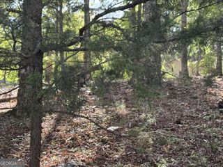 0 Cagle Road NE, Fairmount, GA 30139