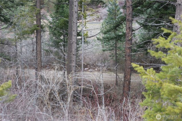 1602 Marion Drive, Cle Elum, WA 98922