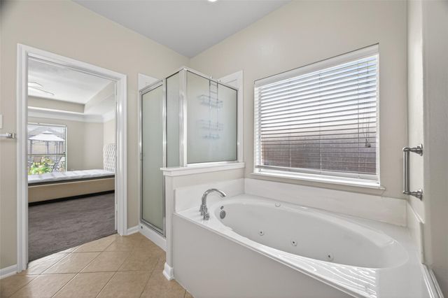 13310 Larkhill Gardens Lane, Sugar Land, TX 77498