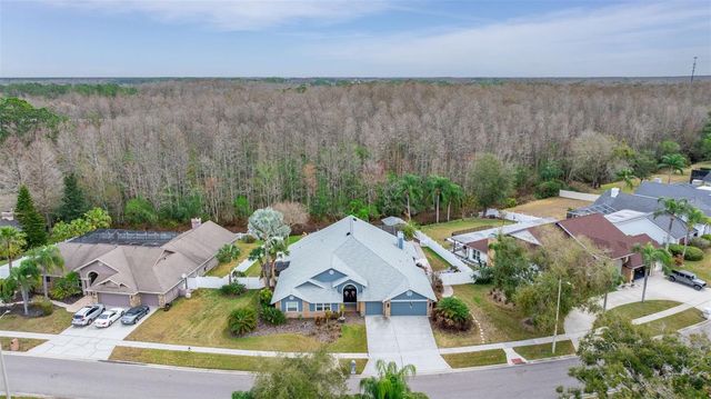 6416 THOROUGHBRED LOOP, Odessa, FL 33556