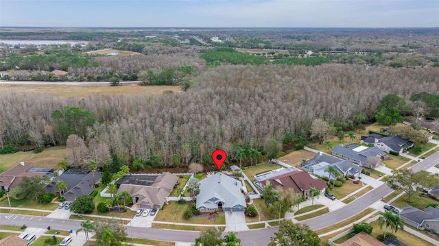 6416 THOROUGHBRED LOOP, Odessa, FL 33556