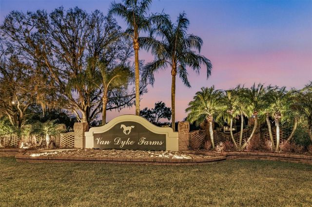 6416 THOROUGHBRED LOOP, Odessa, FL 33556