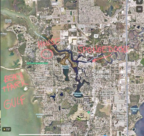 1334 BELCHER DRIVE, Tarpon Springs, FL 34689