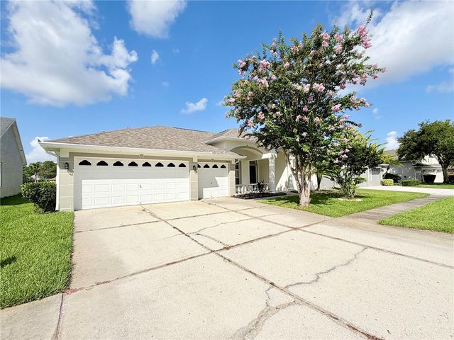 14606 CORAL BERRY DRIVE, Tampa, FL 33626