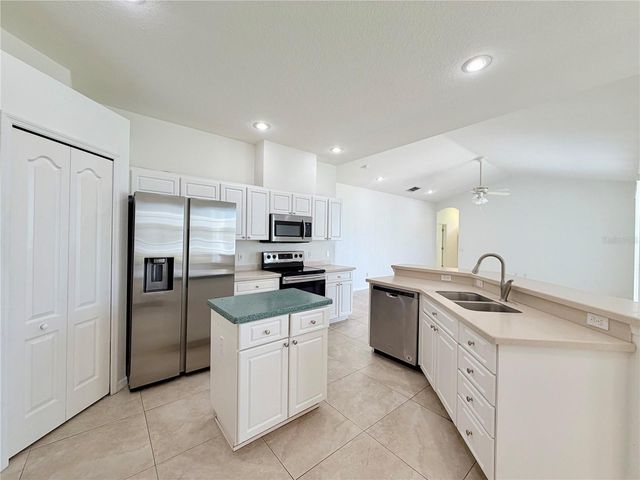 14606 CORAL BERRY DRIVE, Tampa, FL 33626