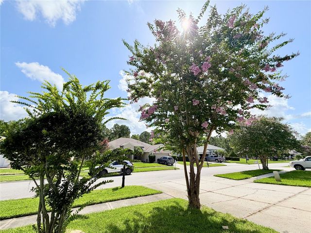 14606 CORAL BERRY DRIVE, Tampa, FL 33626