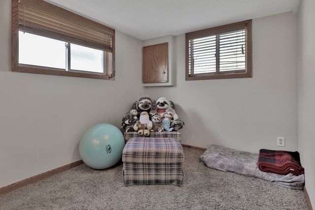 1120 Ashland Street, Hastings, MN 55033