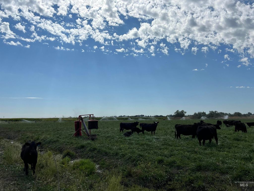 18396 Lower Pleasant Ridge Rd, Caldwell, ID 83607 photo 3