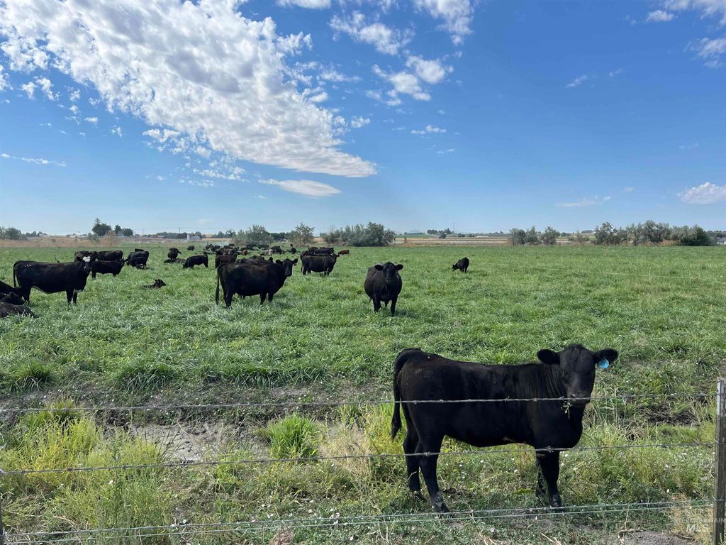 18396 Lower Pleasant Ridge Rd, Caldwell, ID 83607 photo 8