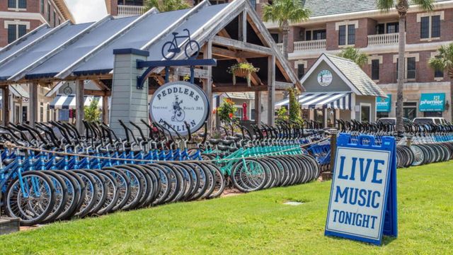 137 Seacrest Beach Boulevard E, Inlet Beach, FL 32461