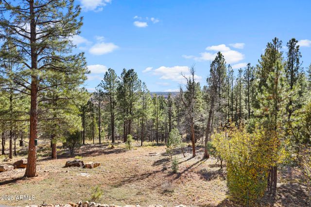 900 EAGLE VIEW Drive, Happy Jack, AZ 86024