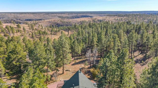 900 EAGLE VIEW Drive, Happy Jack, AZ 86024