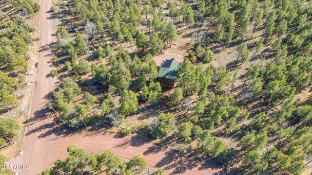 900 EAGLE VIEW Drive, Happy Jack, AZ 86024