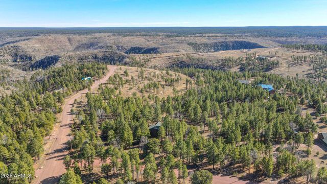 900 EAGLE VIEW Drive, Happy Jack, AZ 86024