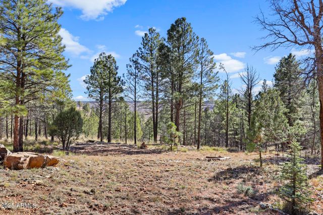 900 EAGLE VIEW Drive, Happy Jack, AZ 86024