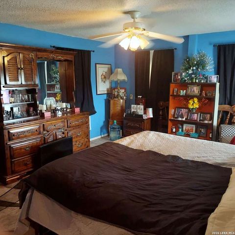 387 MILLS RANCH RD, Pleasanton, TX 78064