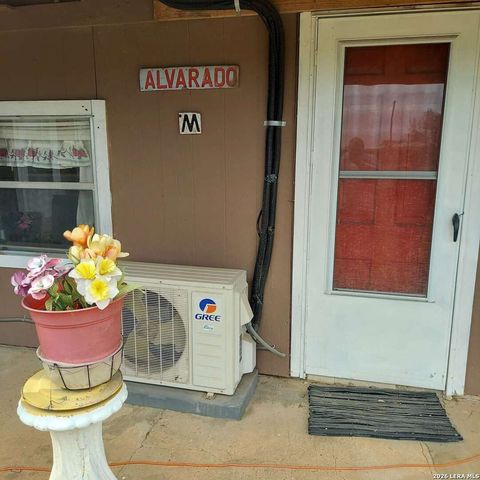 387 MILLS RANCH RD, Pleasanton, TX 78064