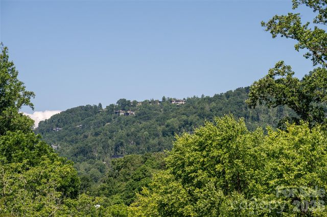 19 Sycamore Street, Asheville, NC 28804