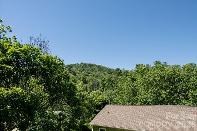 19 Sycamore Street, Asheville, NC 28804